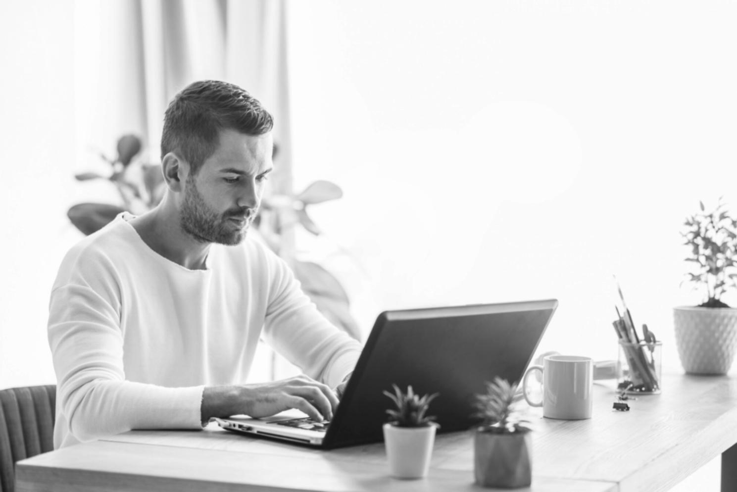 Financial projection charts for event planning